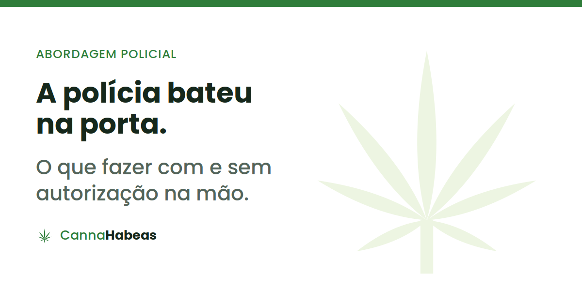 Arte do CannaHabeas sobre o que fazer quando a polícia aborda quem cultiva cannabis em casa